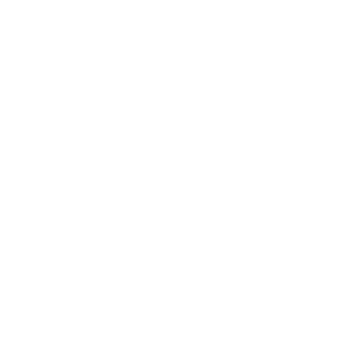 icon2