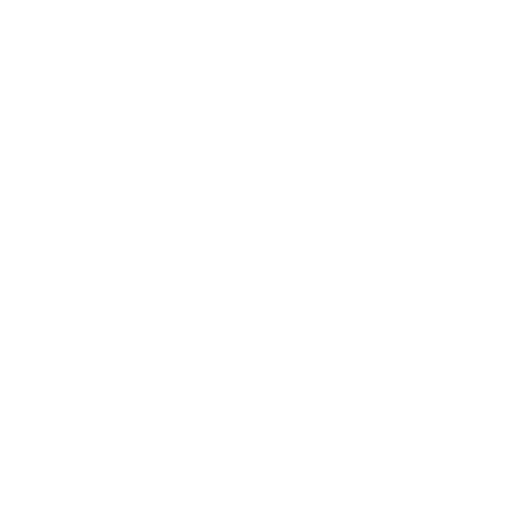 icon1